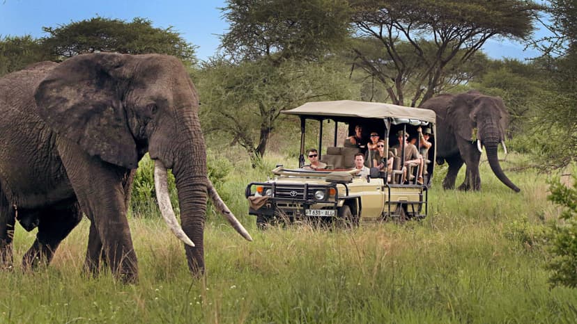 1 Day Akagera National Park Safari: The Ultimate Adventure