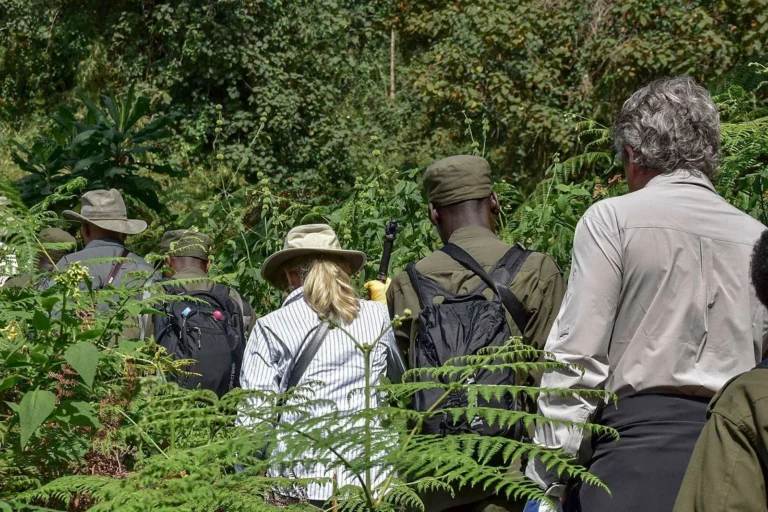 1 Day Gorilla Trekking Rwanda