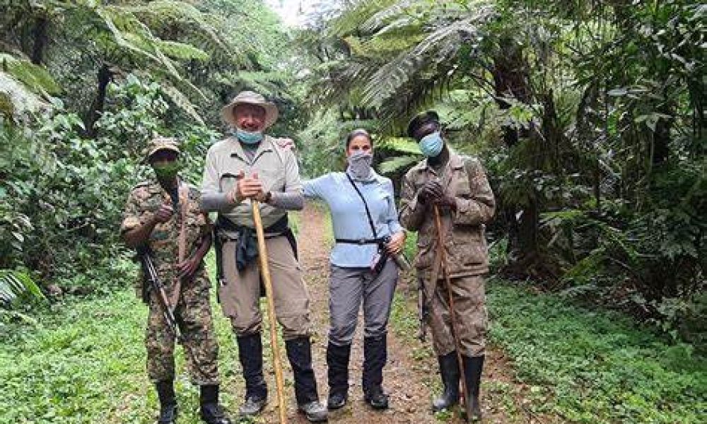 Bwindi forest