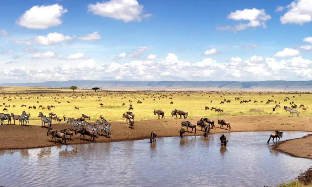 Maasai-Mara-National-Reserve-Kenya